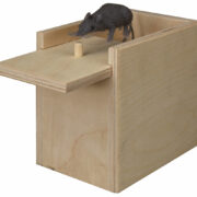 Surprise Box - Image 2