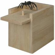Surprise Box - Image 3