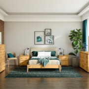 Hudson Collection